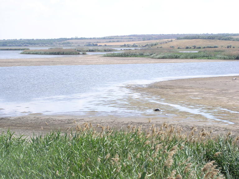 Солёная - река-убийца. Тайны истории Орджоникидзе