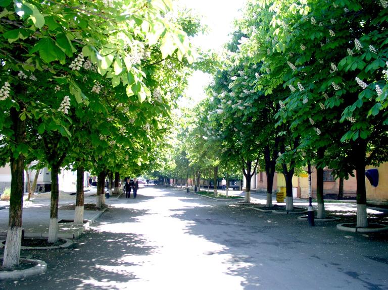 Сессия областного совета утвердила выделение средств для проектов в Орджоникидзе