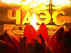 Шановні учасники ліквідації наслідків аварії на ЧАЕС, дорогі земляки!