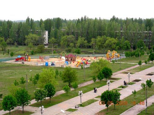 Возле детской площадки в дендропарке хотят посадить несколько десятков березок