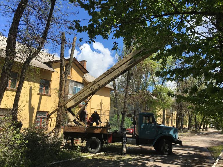 Санитарная обрезка деревьев по Горького