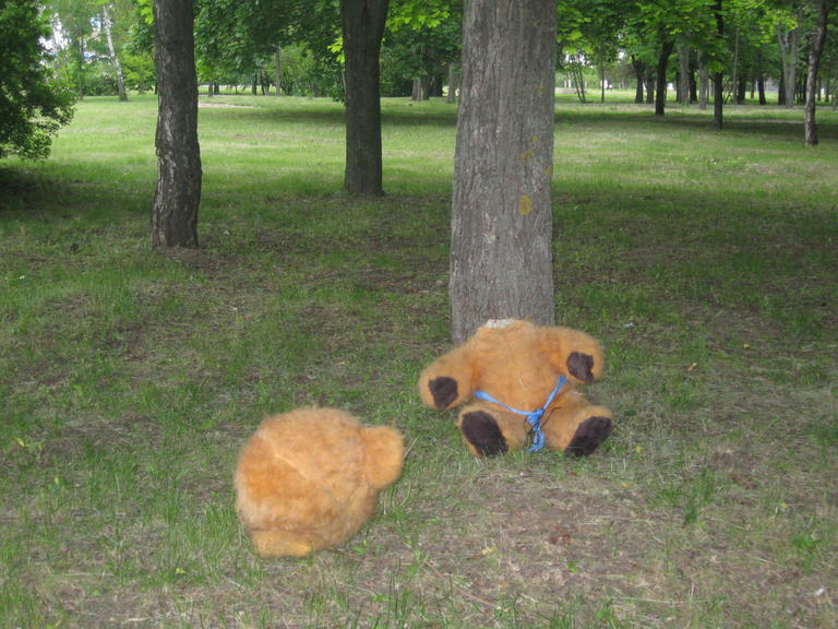 "Шутливое" убийство - в дендропарке нашли обезглавленного медведя