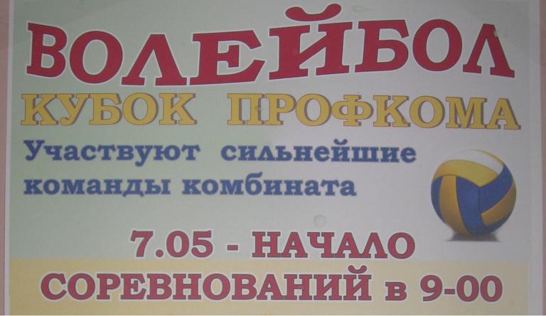 Кубок профкома по волейболу