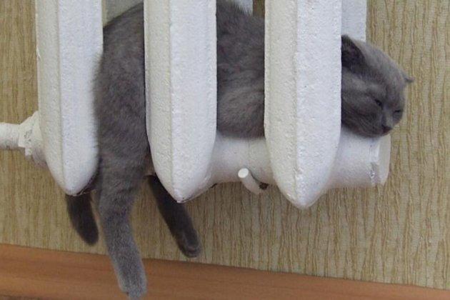 Не только газ, но и электричество?