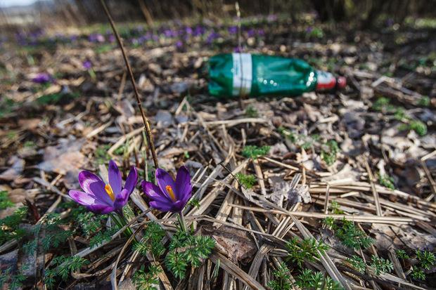 У Європу чи на смітник?