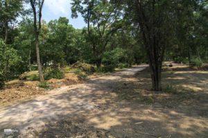 Что делается с парком?