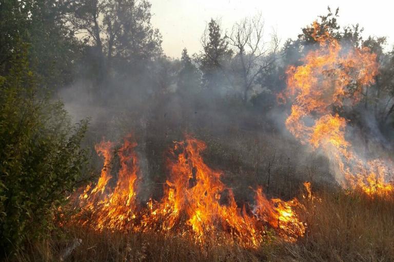 Пляж в огне. Поджог или небрежность?