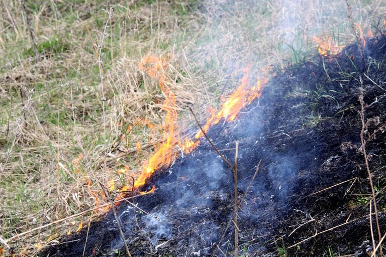 Огненный август. Многочисленные случаи возгораний травы