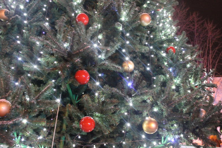 В Покрове открыли главную елку города