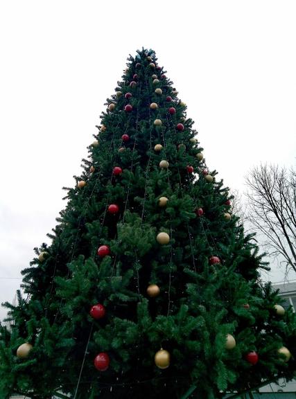 Шановні земляки!