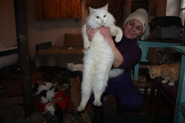 Активисты Молодежного совета помогли приюту «Зоорай» (+ВИДЕО)