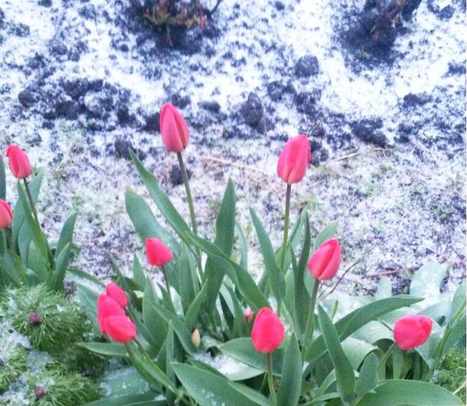 42 дня до лета: от читателей в газету