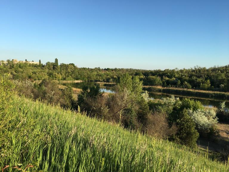 Красота на городском пляже (ФОТО)