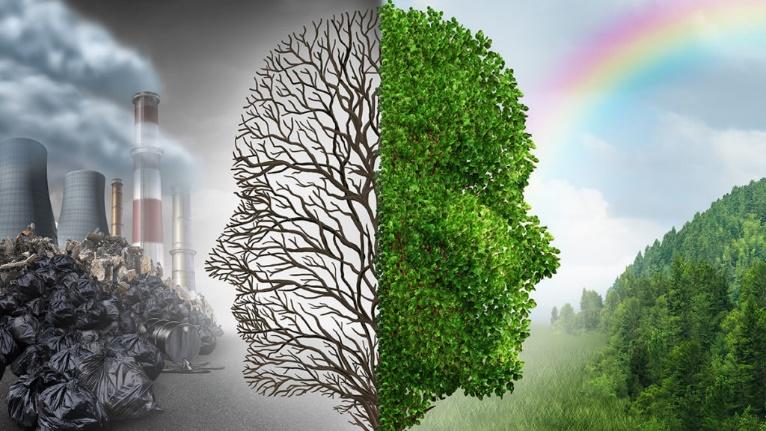 О вреде сжигания листьев и других отходов