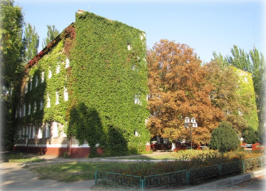 Почему медперсонал больницы уходит в неоплачиваемые отпуска?