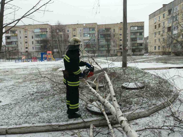 Вследствие непогоды дерево рухнуло на проезжую часть