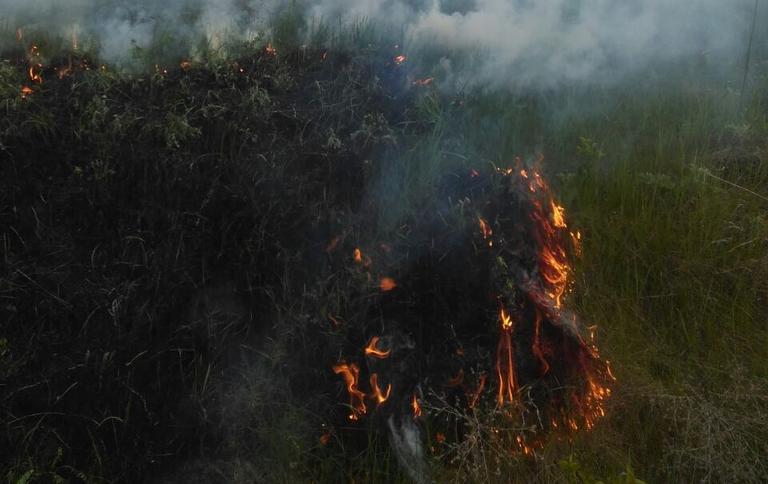 В Покрове опять горит сухая трава