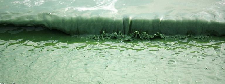 Мутная история: в Никополе водохранилище «пахнет» фекалиями