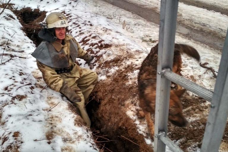 В Покрові рятувальники визволили собаку з пастки