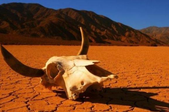 ООН: Стан природи є найгіршим в історії людства