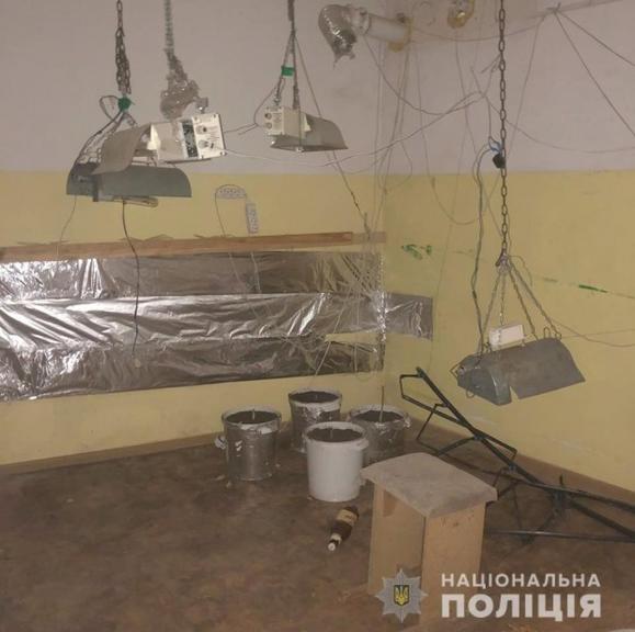 В Никополе полицейские провели обыск в помещении мебельной фабрики, оборудованном для выращивания конопли