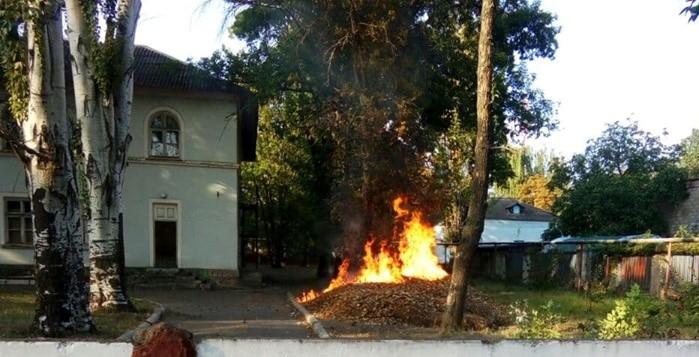 «Дерево, мне тебя жалко»: в соцсетях появилось видео пожара на территории горбольницы (ВИДЕО)