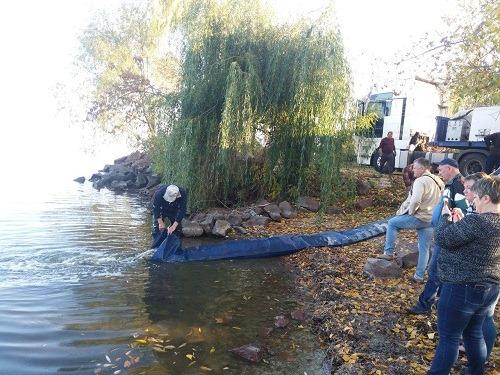 У Каховське водосховище випустили понад 5 тонн молоді риби