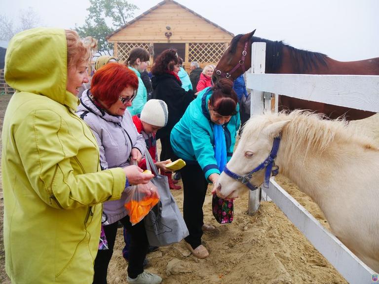 Зустрічали гостей та садили дерева