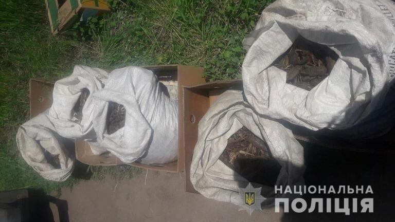У Нікопольському районі під час нерестової заборони поліцейські вилучили 80 кілограмів раків 