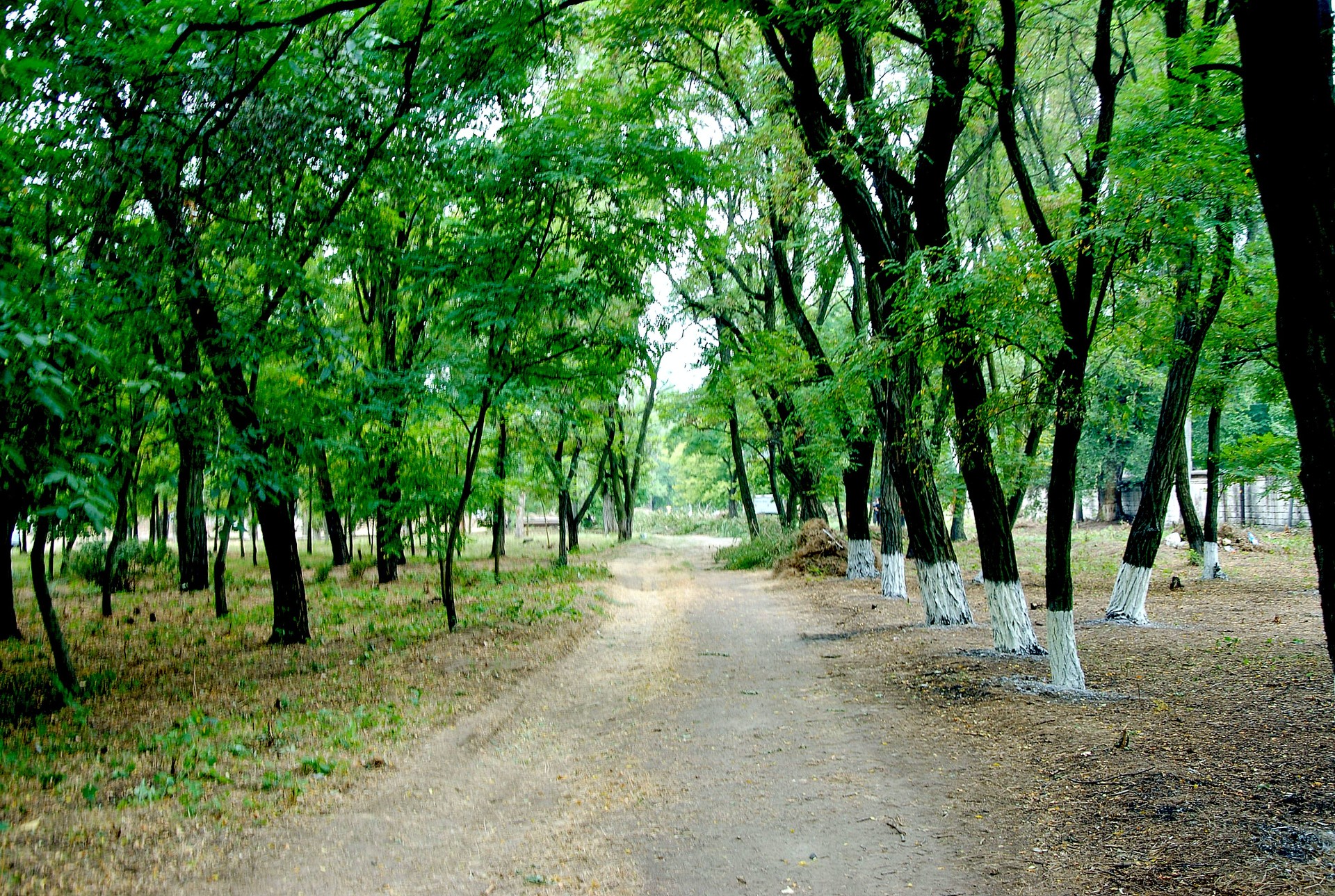 сессия областного совета утвердила выделение средств для проектов в орджоникидзе - изображение 1