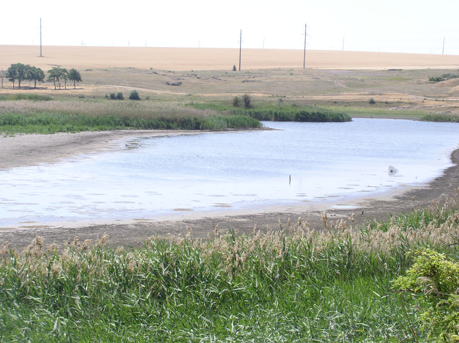 солёная - река-убийца. тайны истории орджоникидзе - изображение 4 солёная - река-убийца. тайны истории орджоникидзе - изображение 4