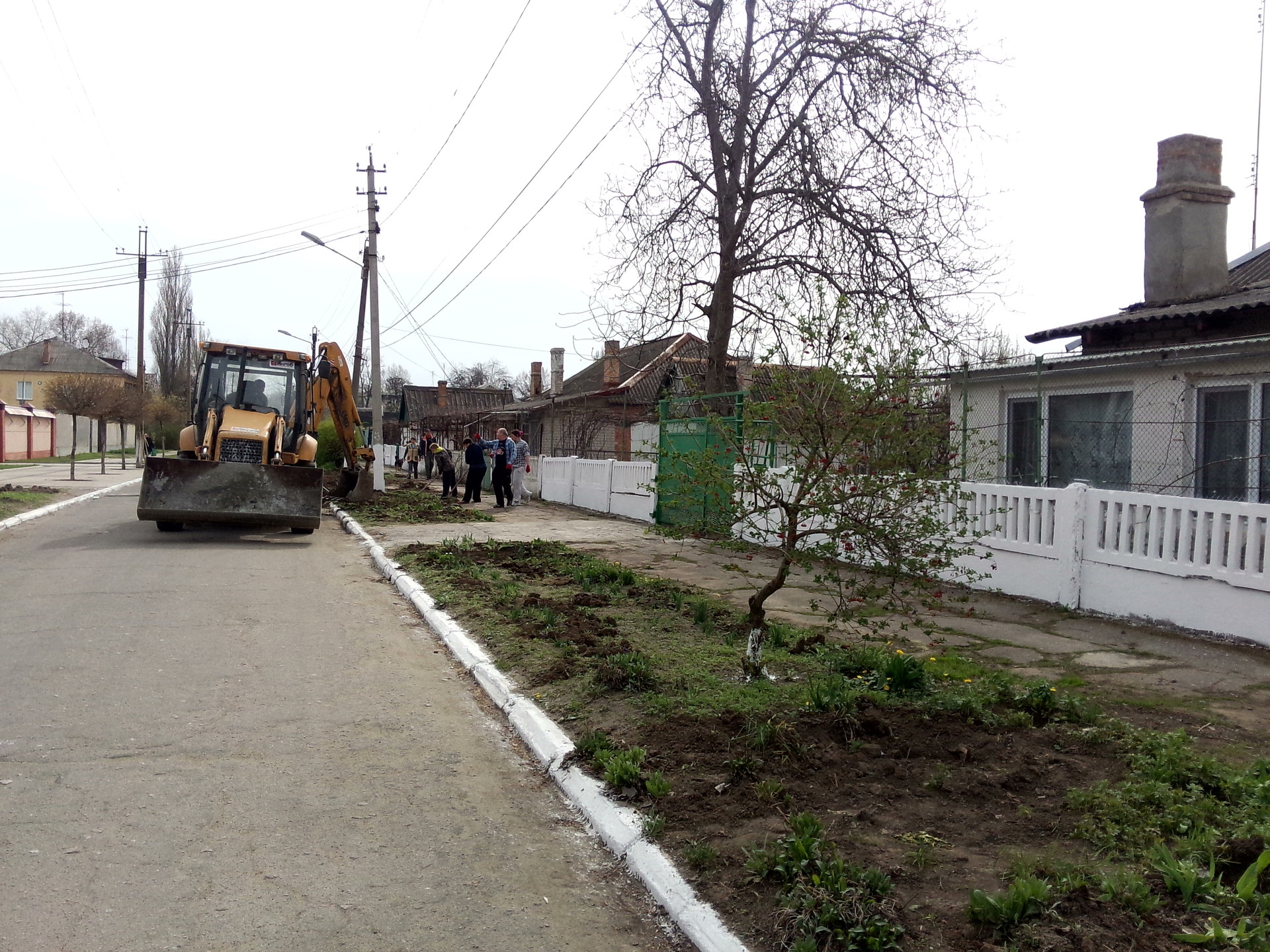 посадка деревьев в городе - изображение 1