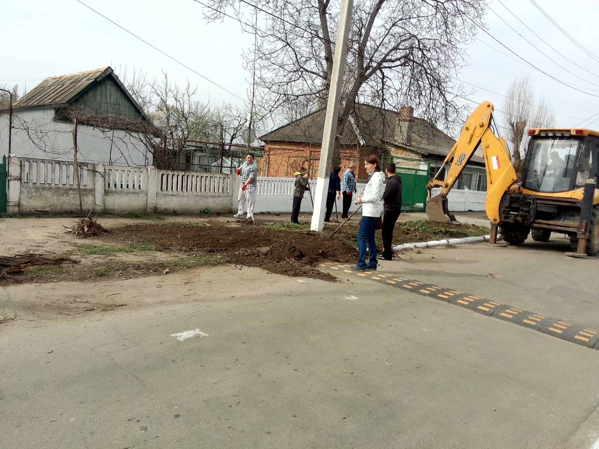 посадка деревьев в городе - изображение 2