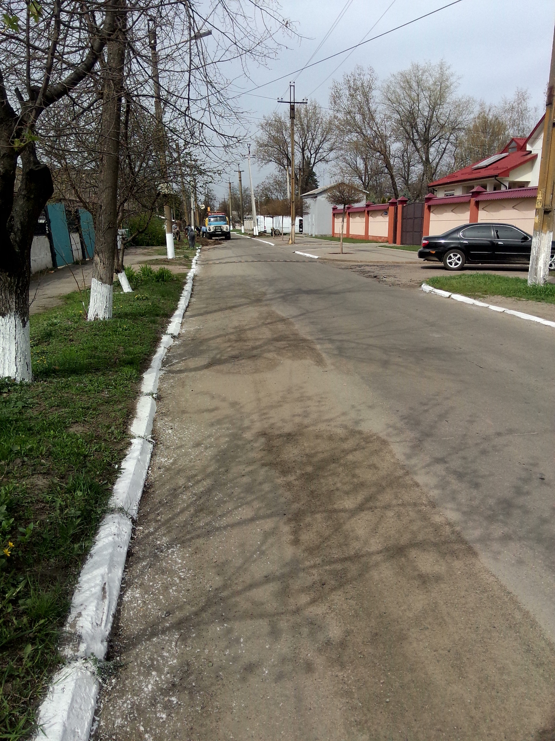посадка деревьев в городе - изображение 4