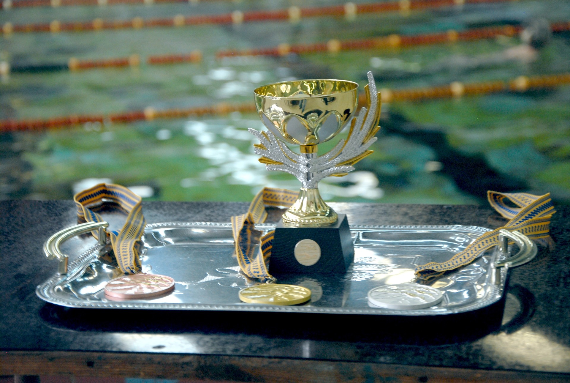 завершился открытый чемпионат города по плаванию в честь а.и.черепа (добавлено видео награждения пловцов) - изображение 17