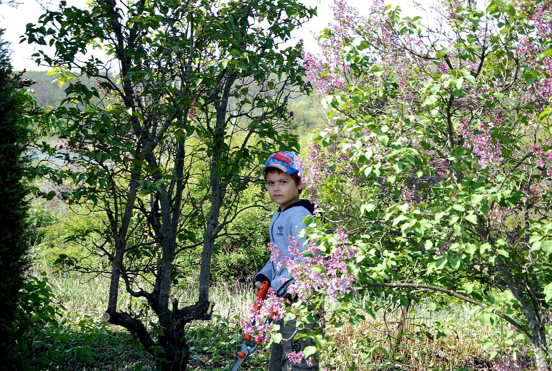 мероприятие чистый город - изображение 7