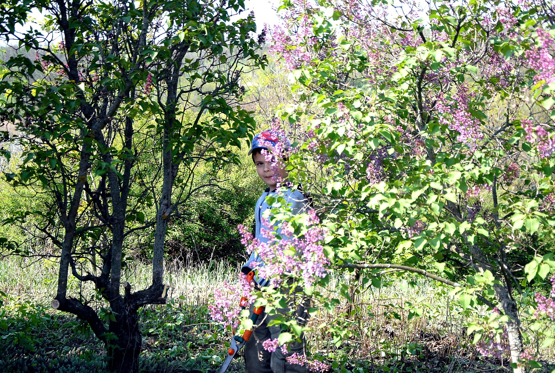 мероприятие чистый город - изображение 8