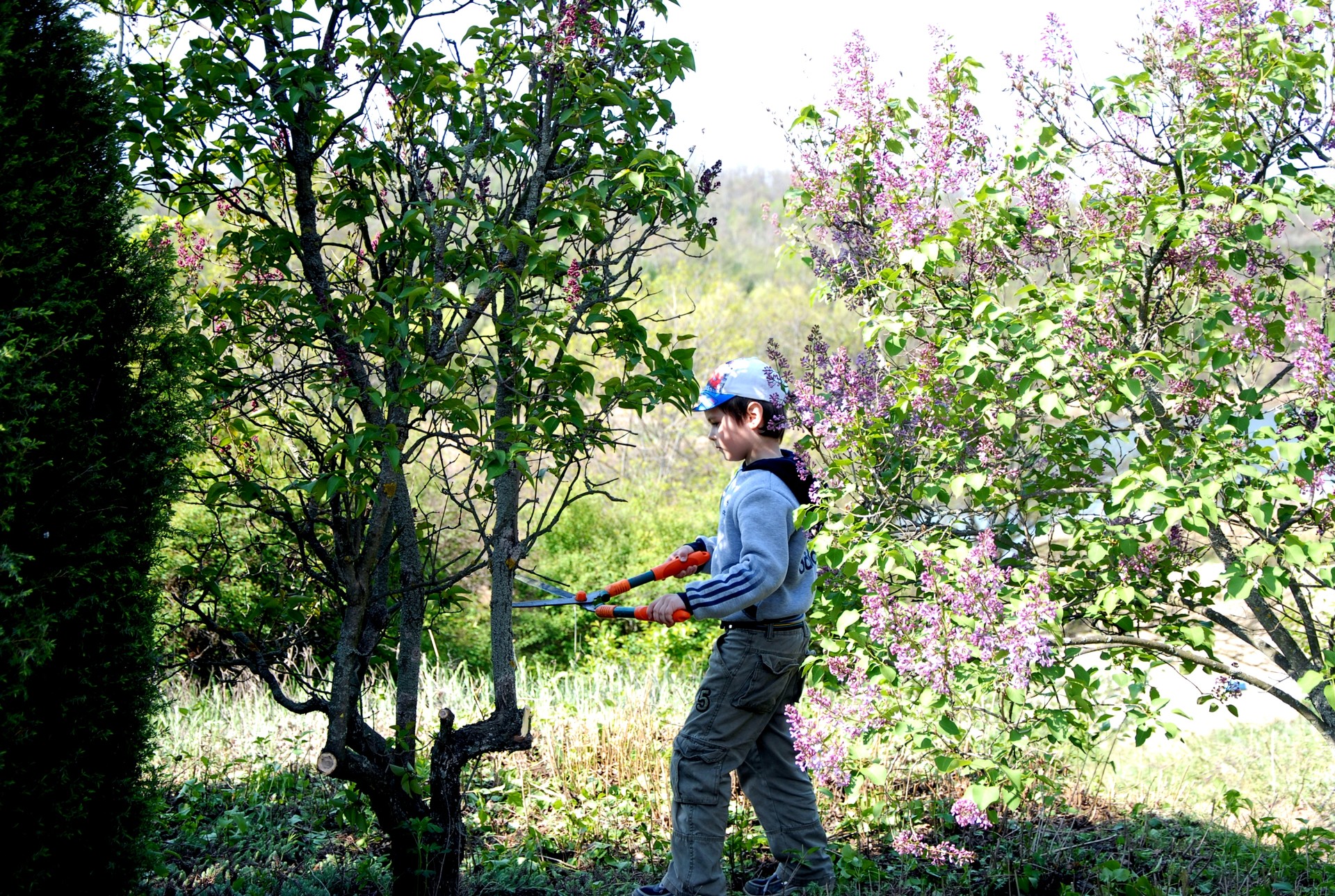 мероприятие чистый город - изображение 9