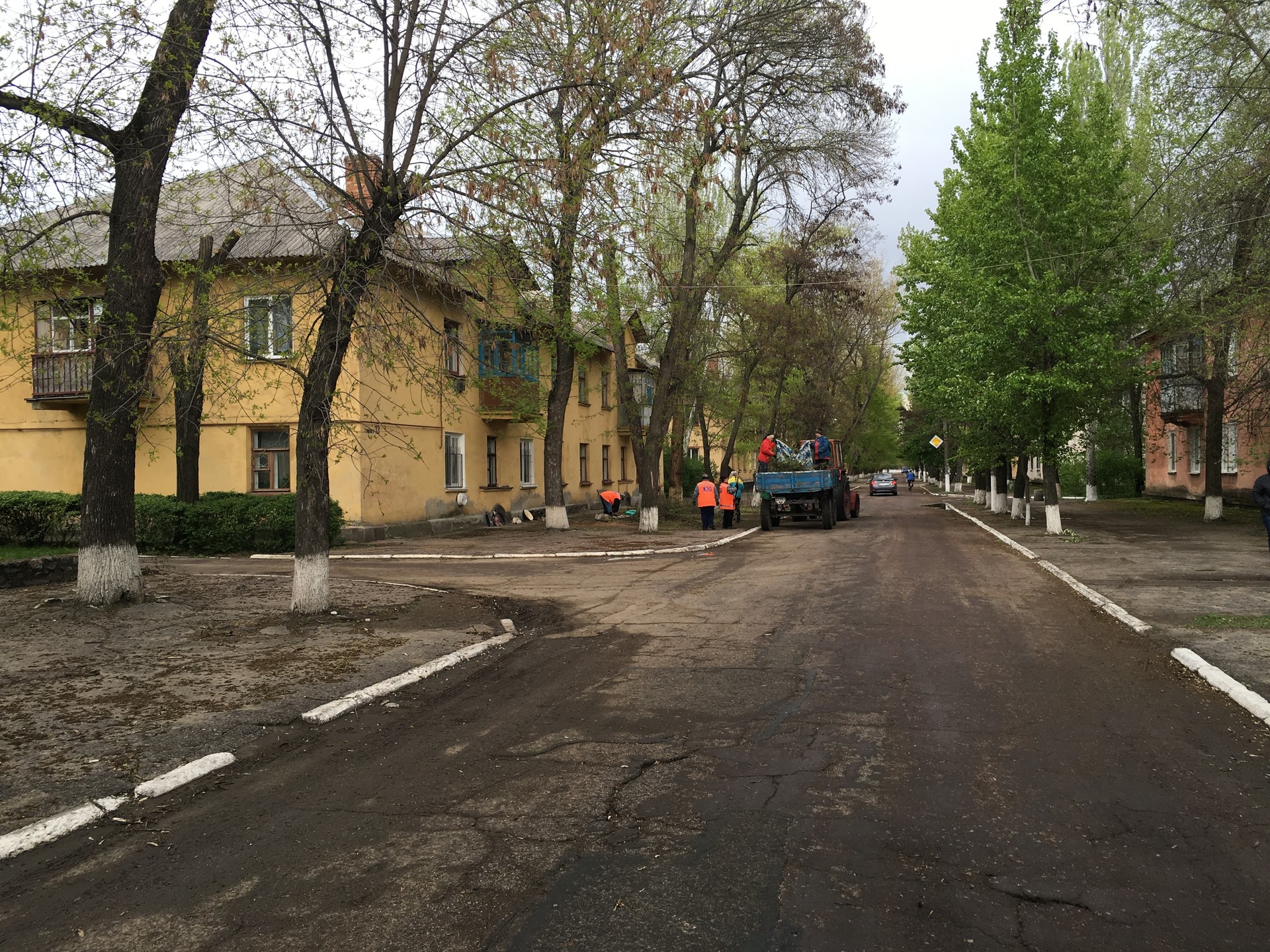 санитарная обрезка деревьев по горького - изображение 3