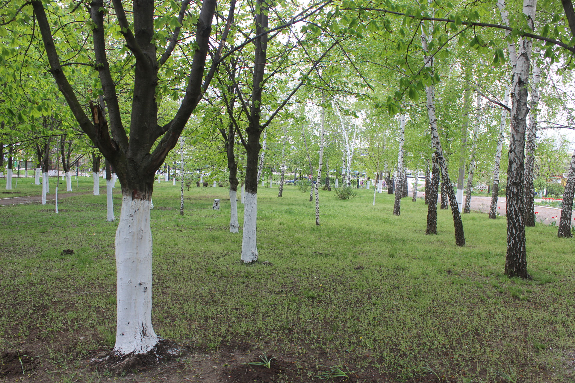 день открытых дверей в орджоникидзевском профессионально-техническом училище - изображение 1 день открытых дверей в орджоникидзевском профессионально-техническом училище - изображение 1