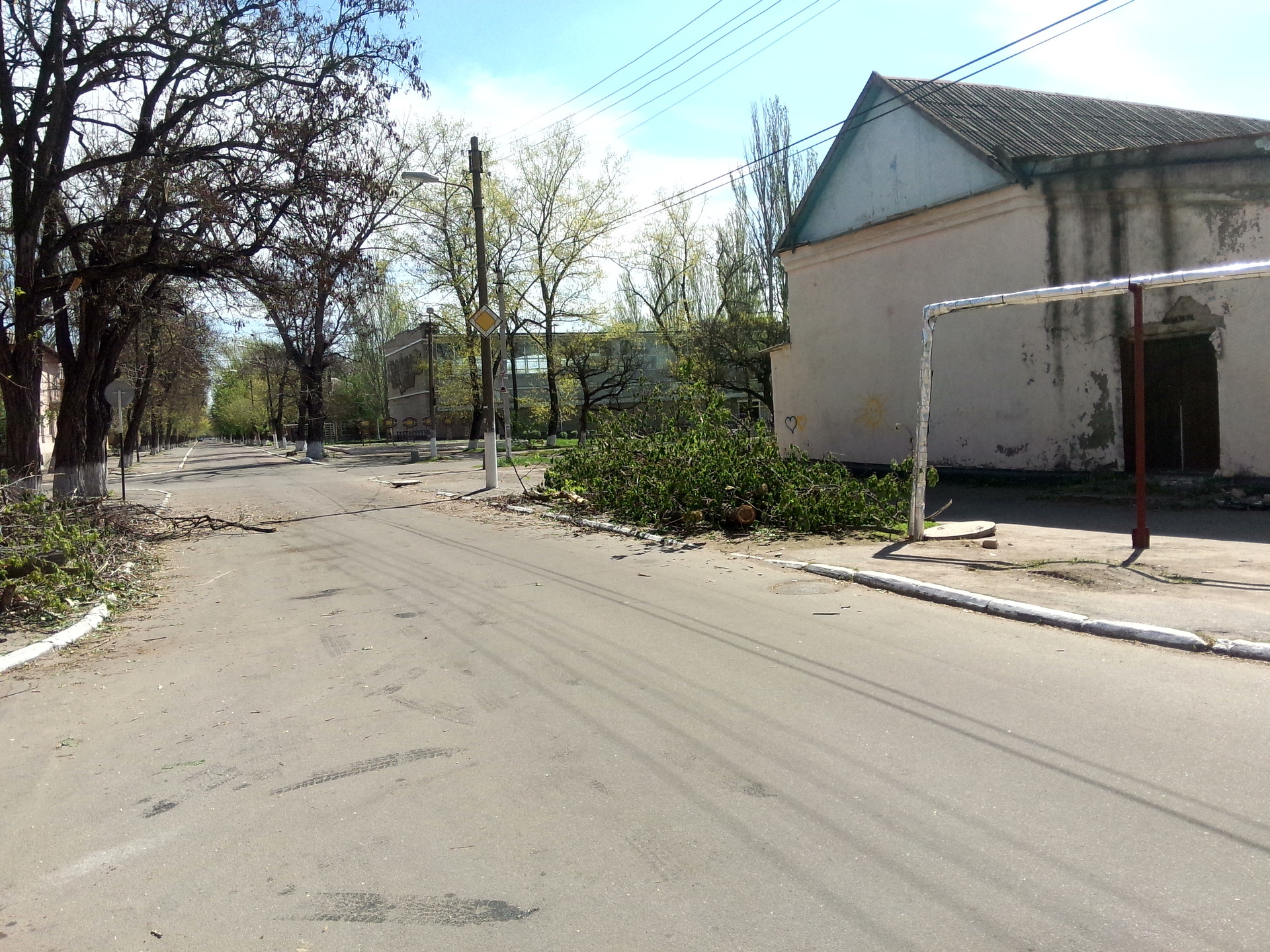 упавшее после вчерашнего урагана дерево уже спилили - изображение 2