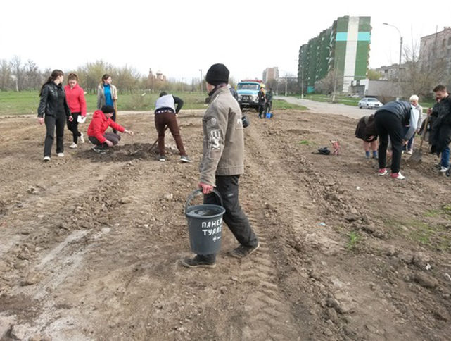 деревья мира - изображение 2