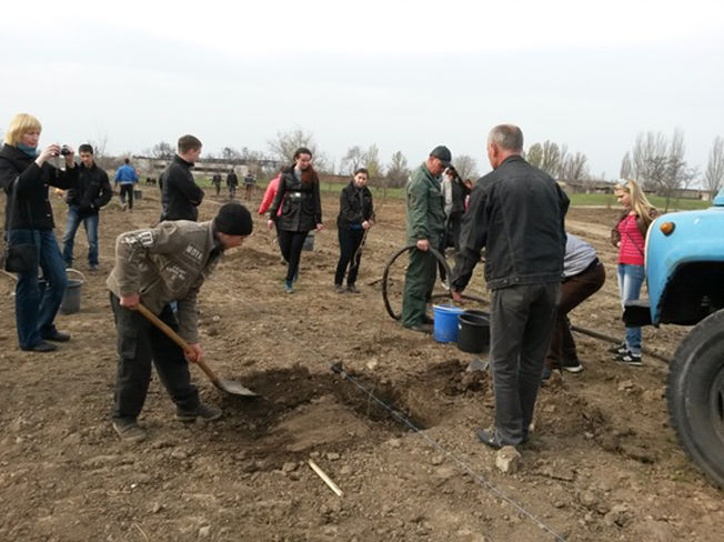 деревья мира - изображение 3