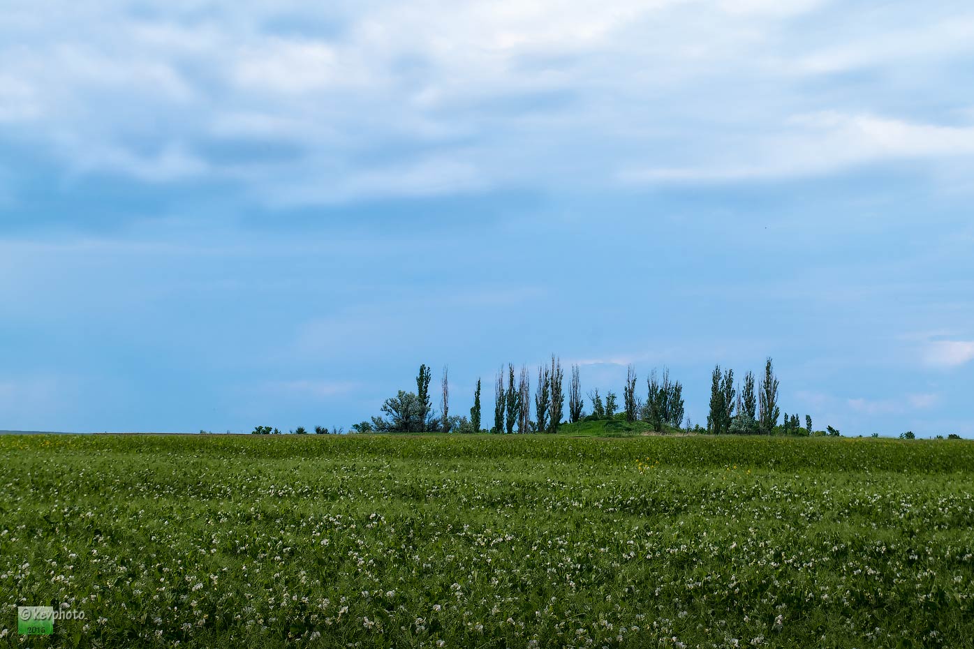 пейзажи днепропетровщины - изображение 4