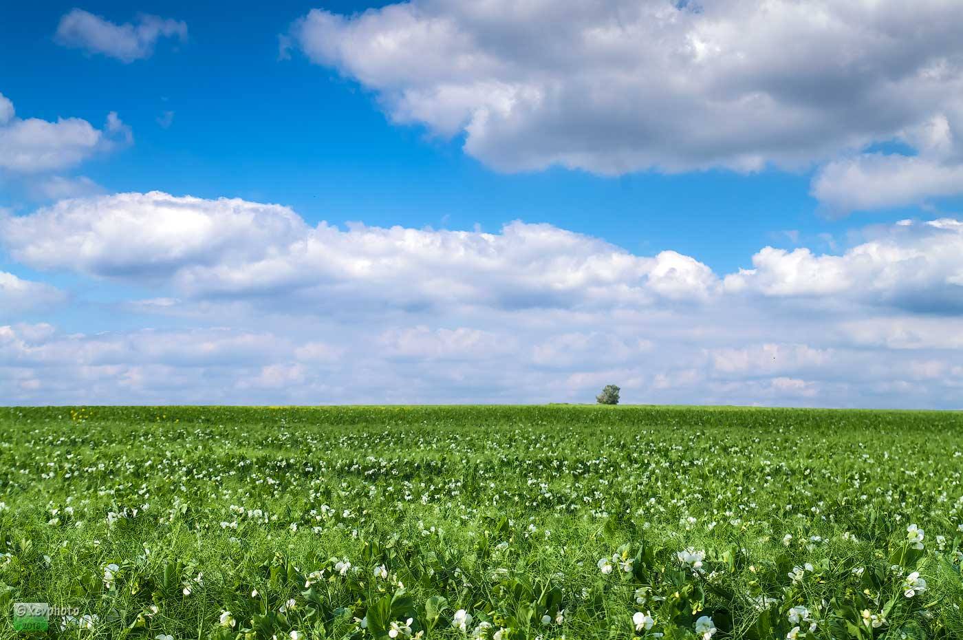 пейзажи днепропетровщины - изображение 3