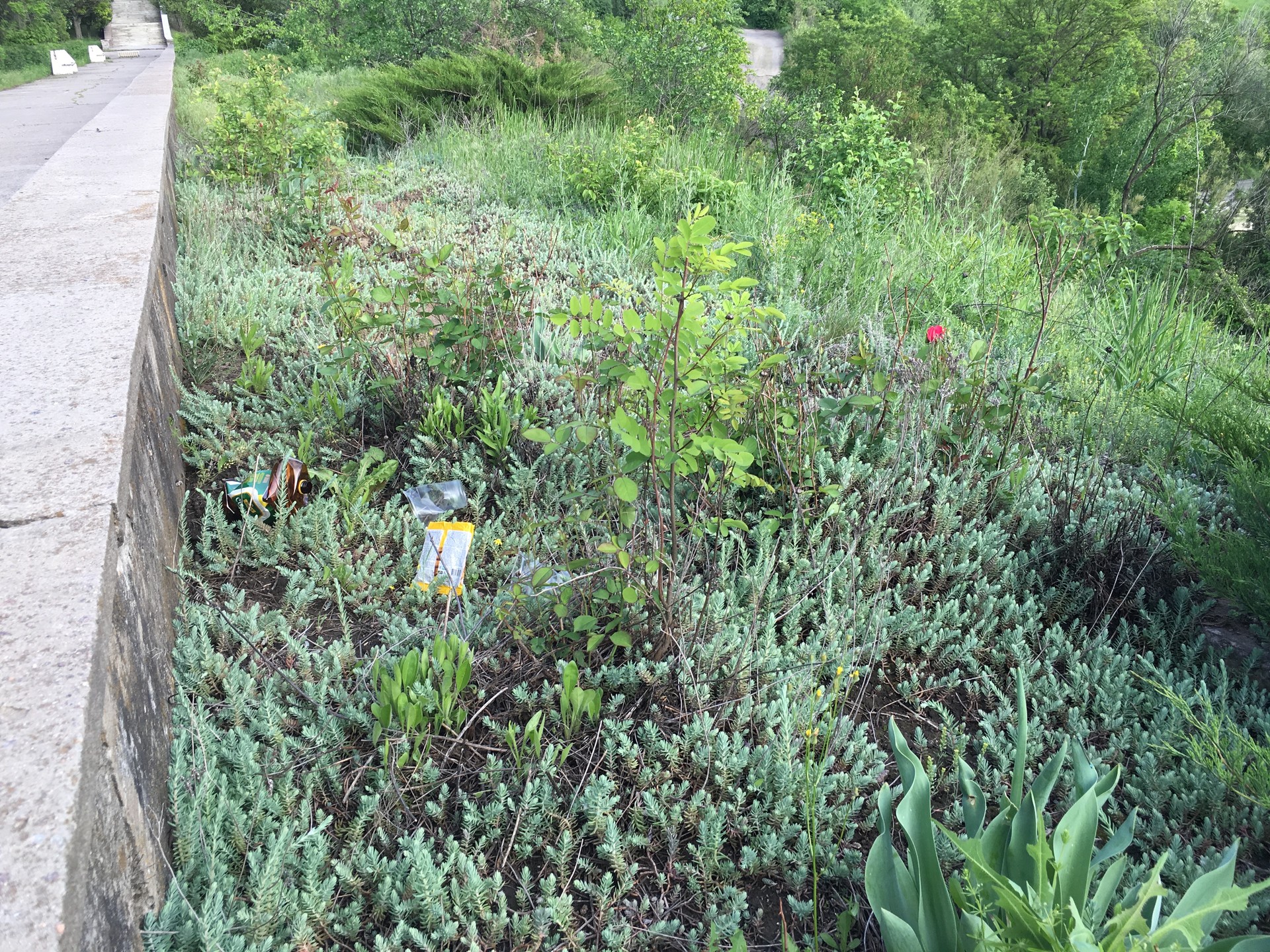 не превращайте пляж в мусорник! - изображение 1