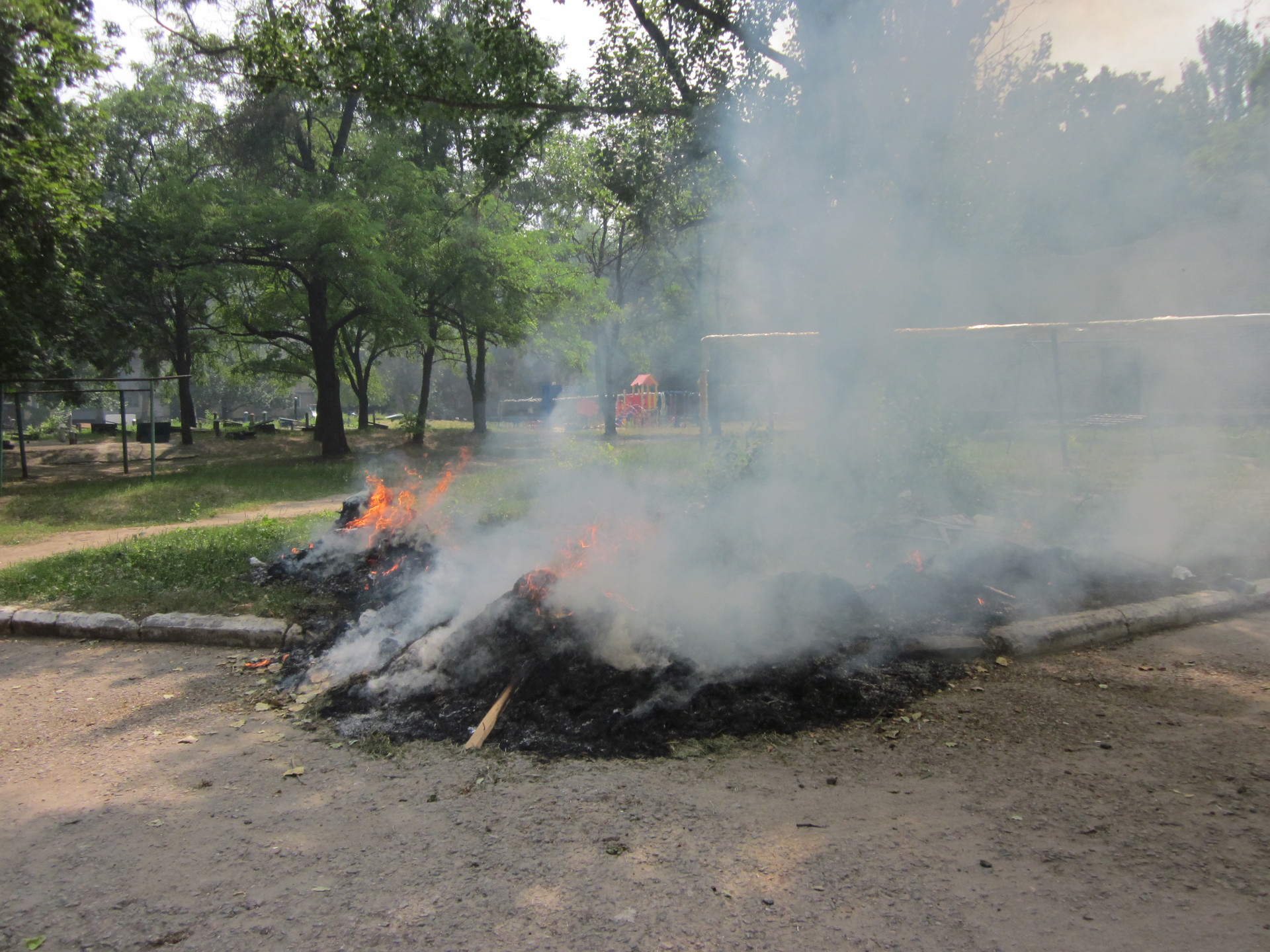 опасное соседство - изображение 4