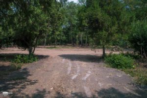 что делается с парком? - изображение 2 что делается с парком? - изображение 2