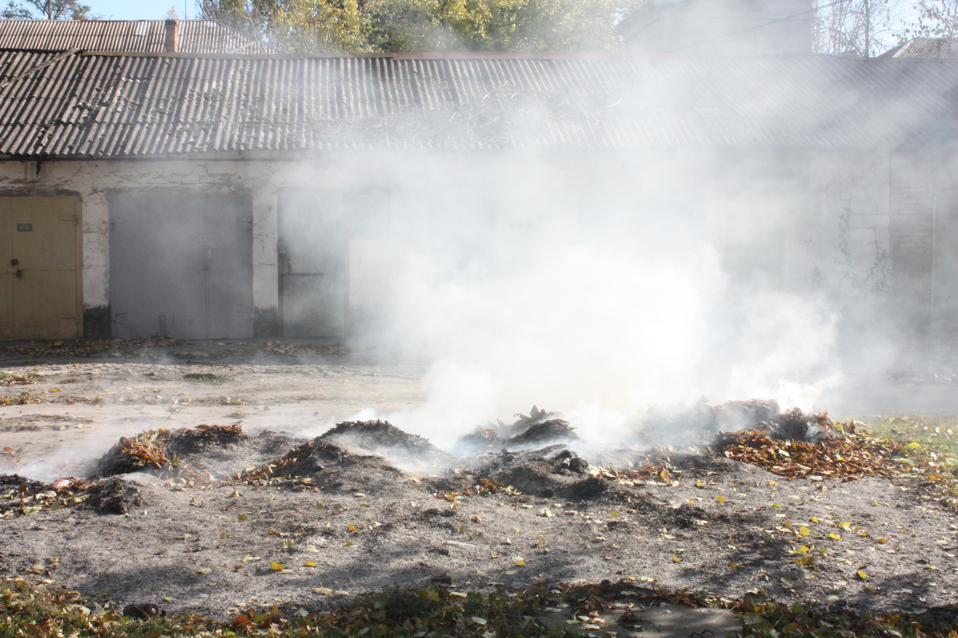 в городе снова жгут листву - изображение 2 в городе снова жгут листву - изображение 2