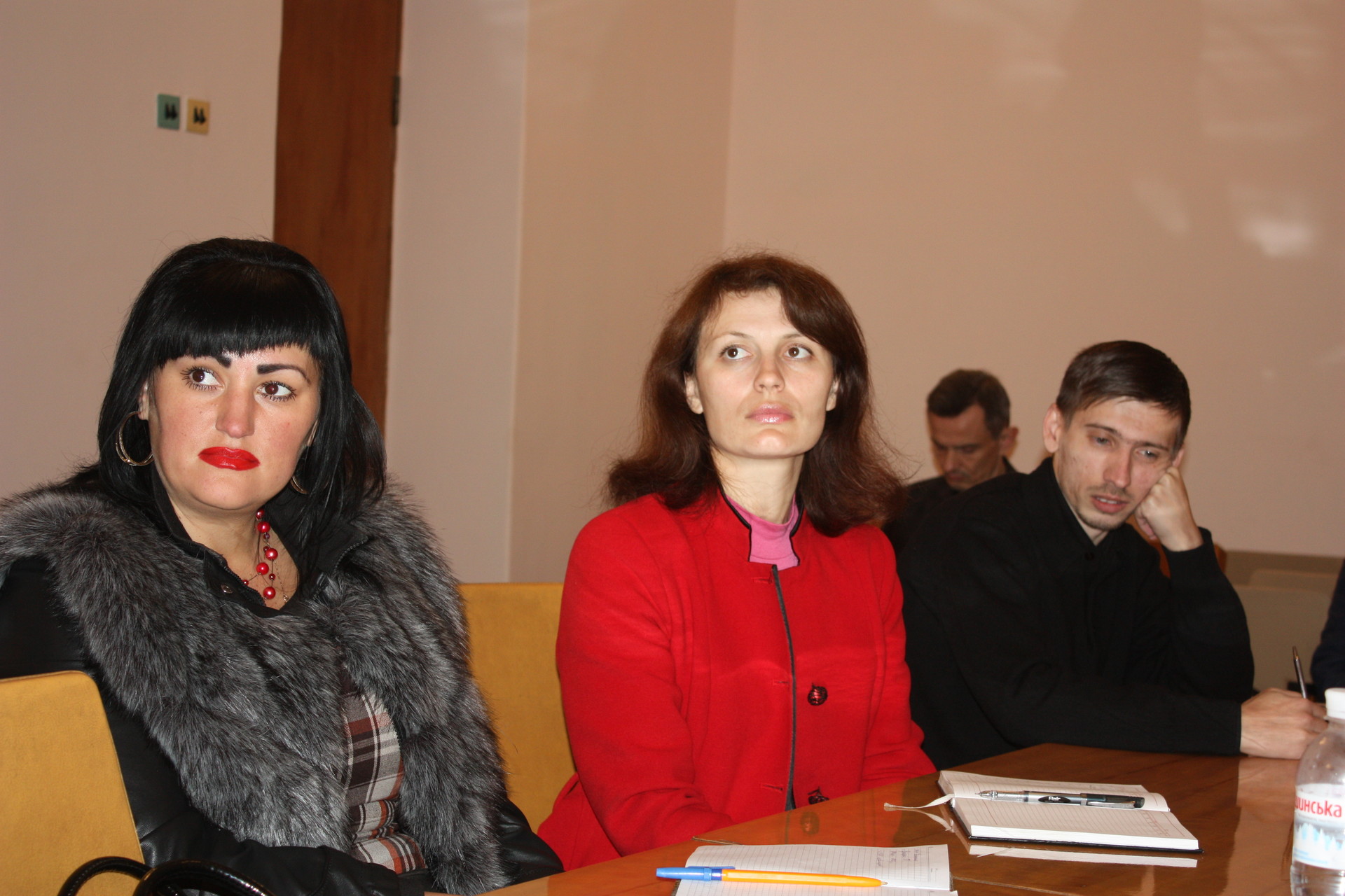 принят план работы молодежного совета - изображение 2